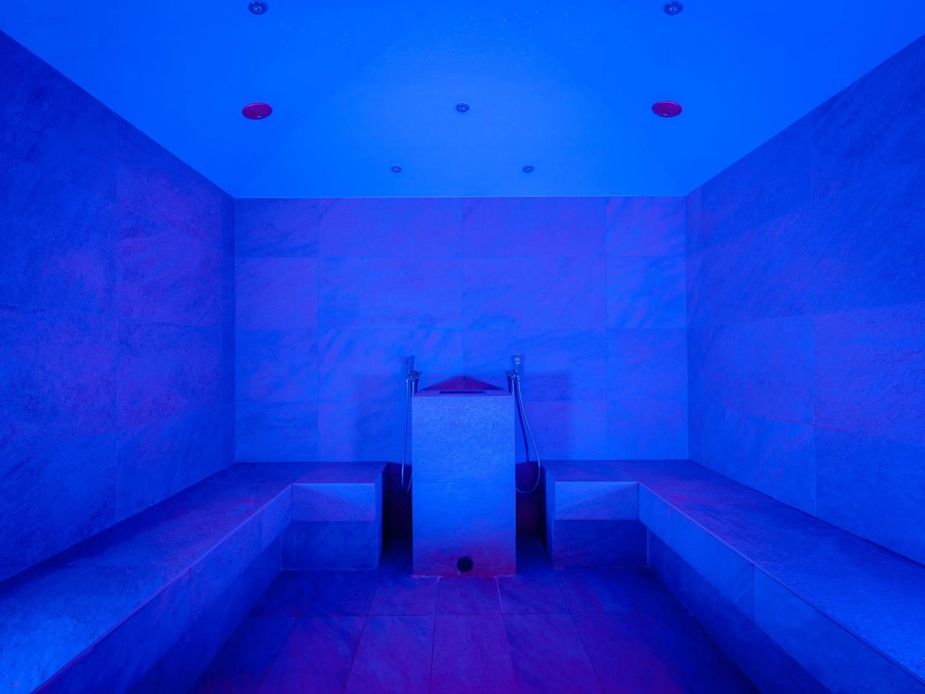 Steam room, Bed in Parc Hotel Germano Suites & Apartments