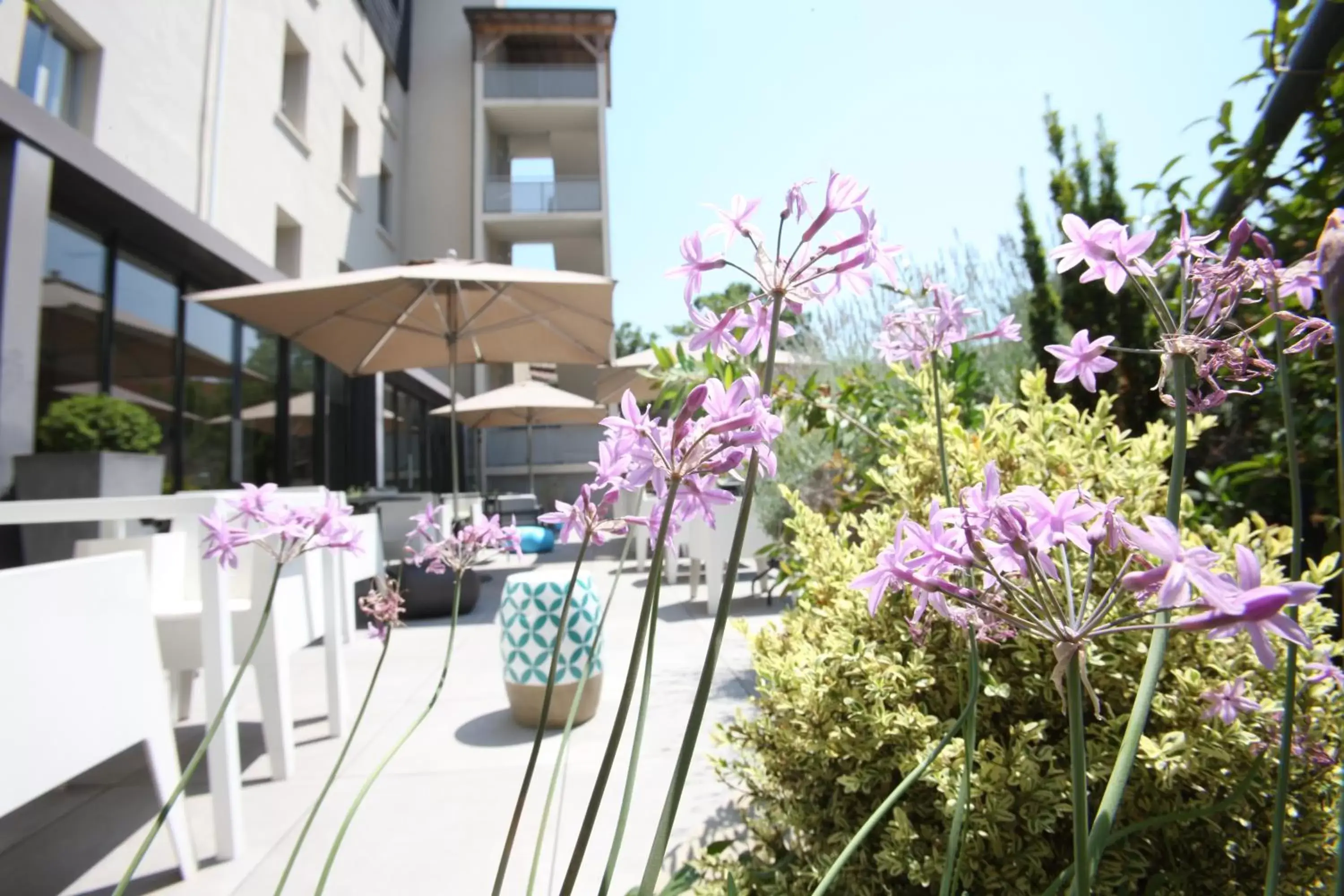 Hotel De France Hotel De France