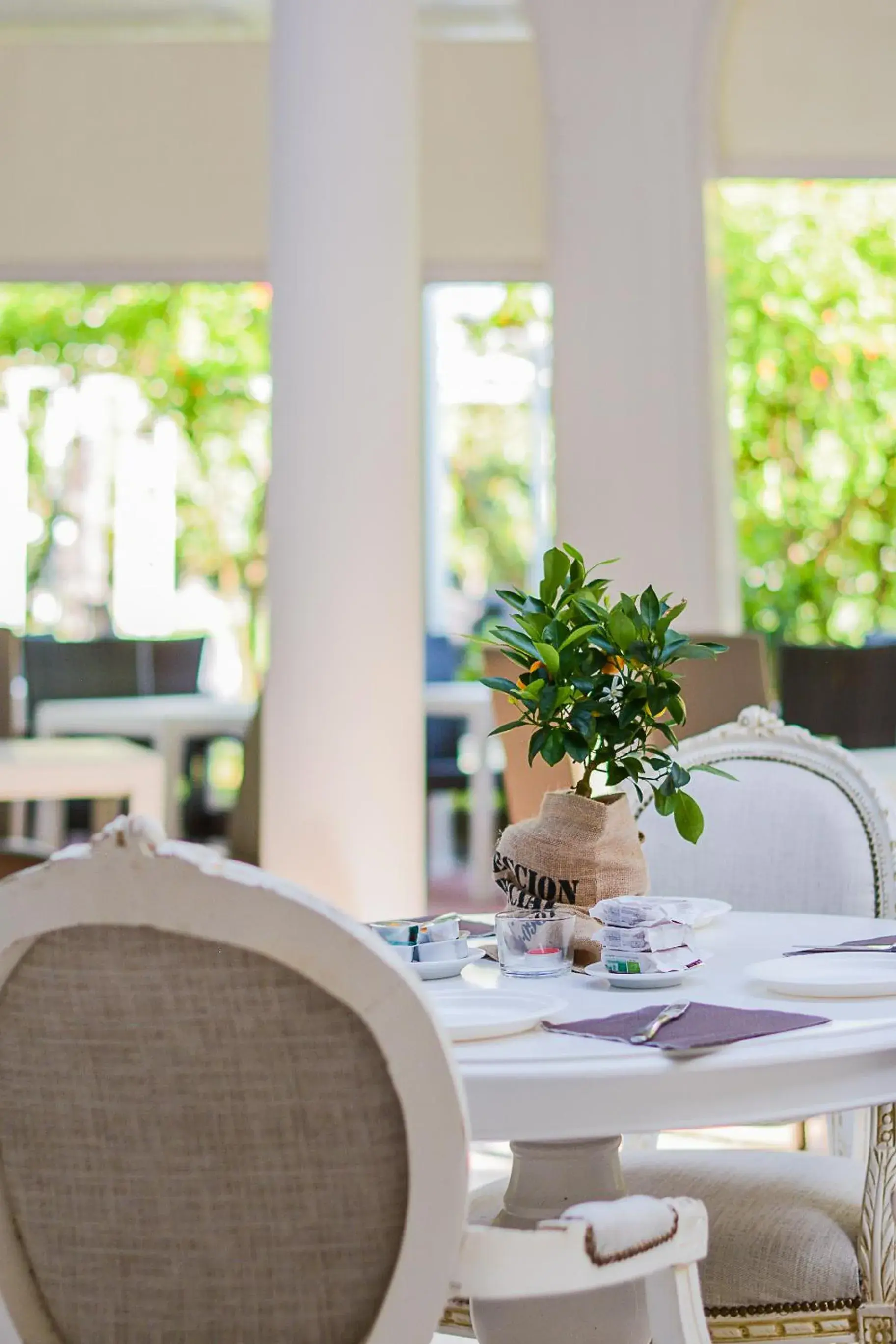 Restaurant/places to eat in Bellavista Terme Resort & Spa Restaurant/places to eat in Bellavista Terme Resort & Spa