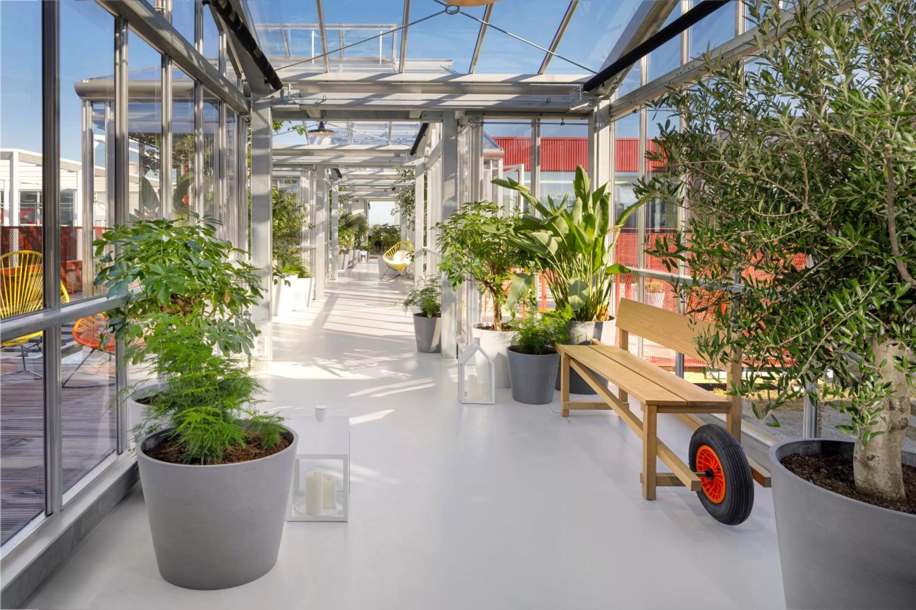 Garden in Zoku Copenhagen