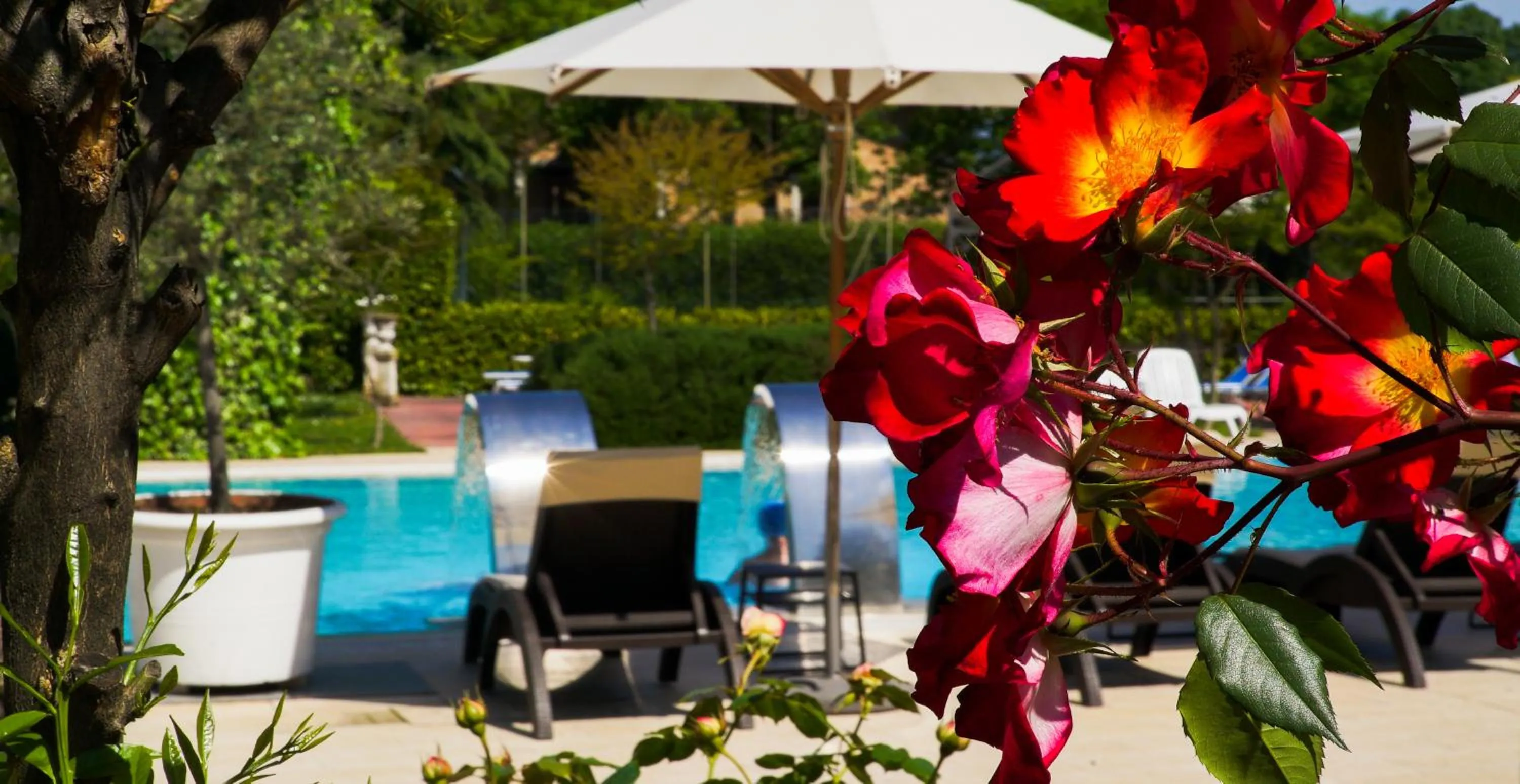 Garden in Bellavista Terme Resort & Spa