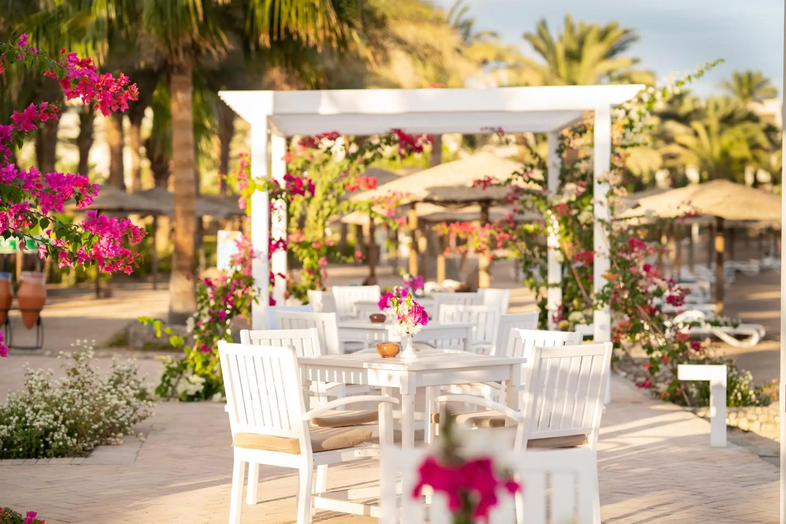 Lounge or bar in Fort Arabesque Resort, Spa & Villas Lounge or bar in Fort Arabesque Resort, Spa & Villas