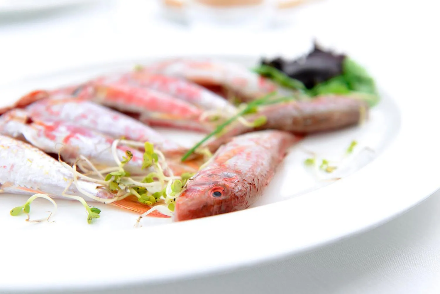 Restaurant/places to eat in Hotel Cala Del Porto