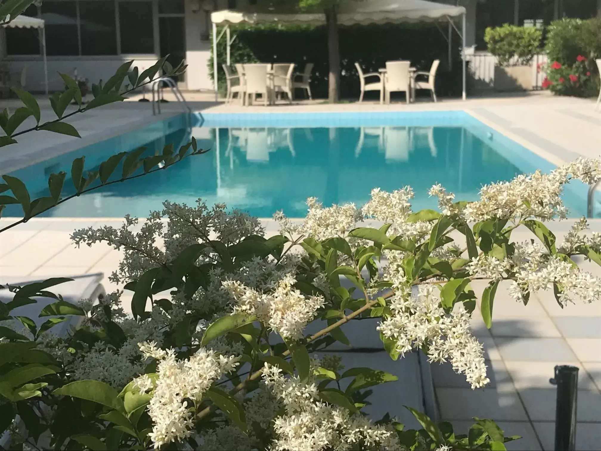 Perugia Plaza Hotel Perugia Plaza Hotel