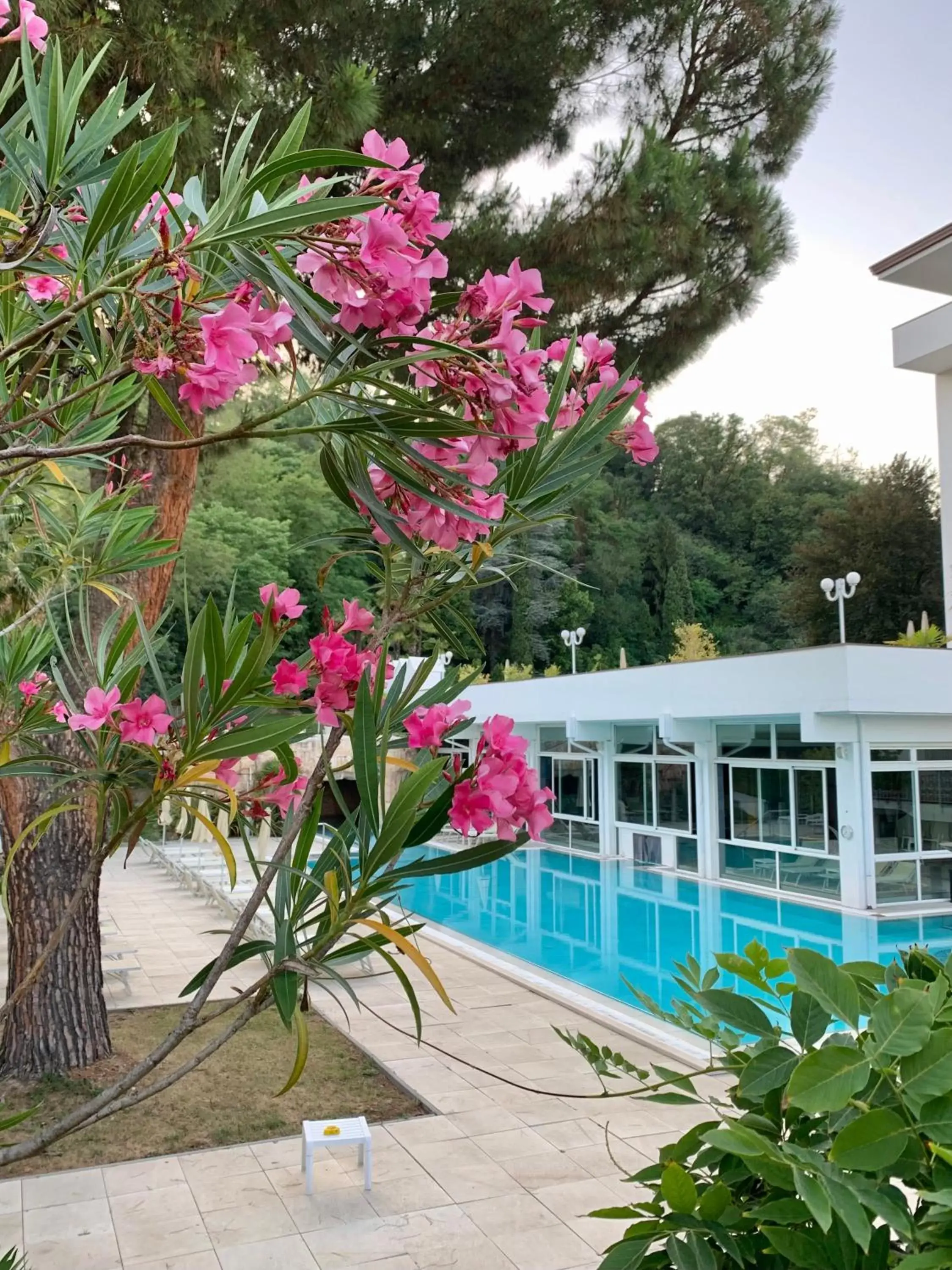 Hotel Terme Millepini Hotel Terme Millepini