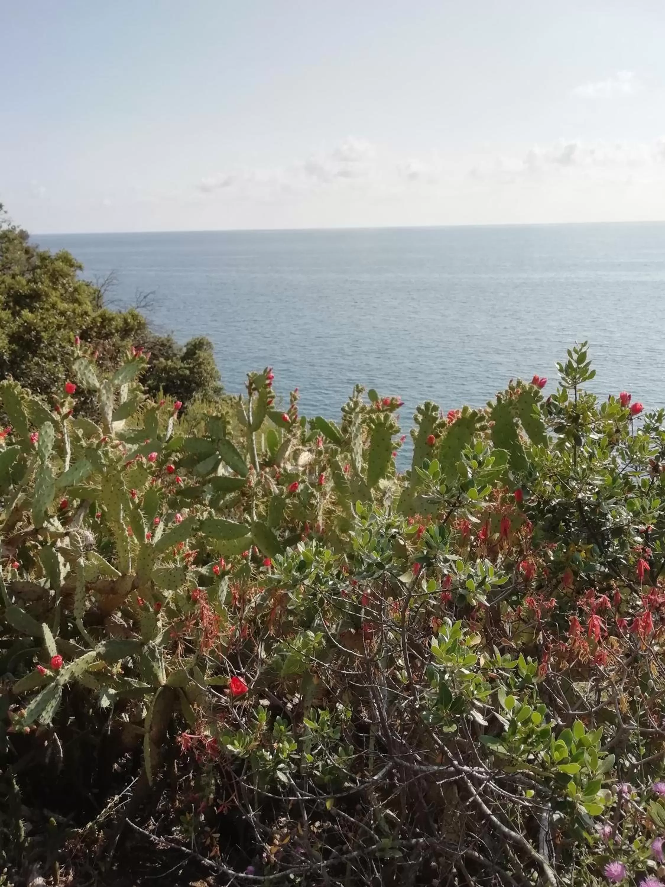 Garden view in Grand Hotel Dei Castelli