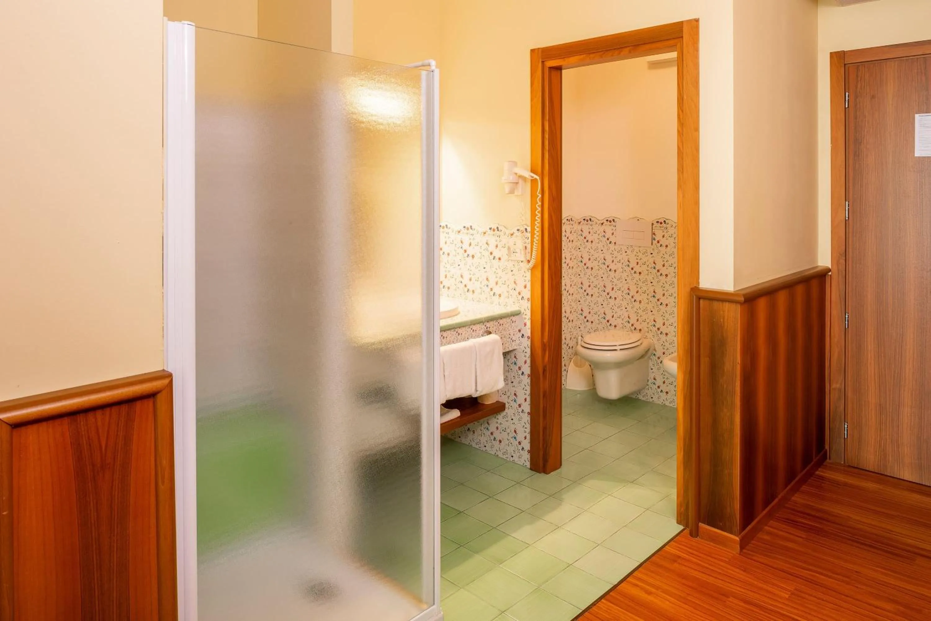 Deluxe Twin Room with Mountain View in Hotel Internazionale