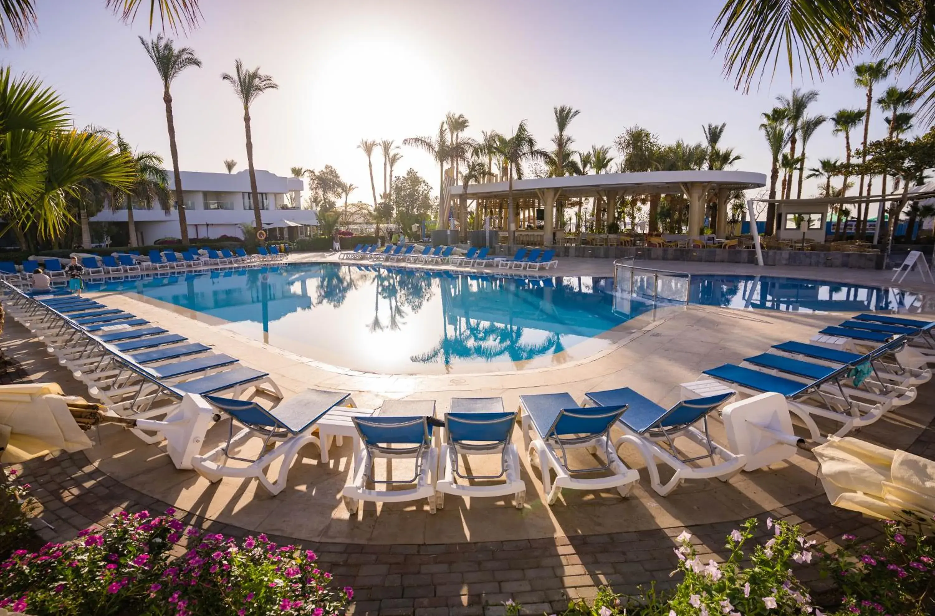 Lounge or bar in Hotel Novotel Sharm El-Sheikh Lounge or bar in Hotel Novotel Sharm El-Sheikh