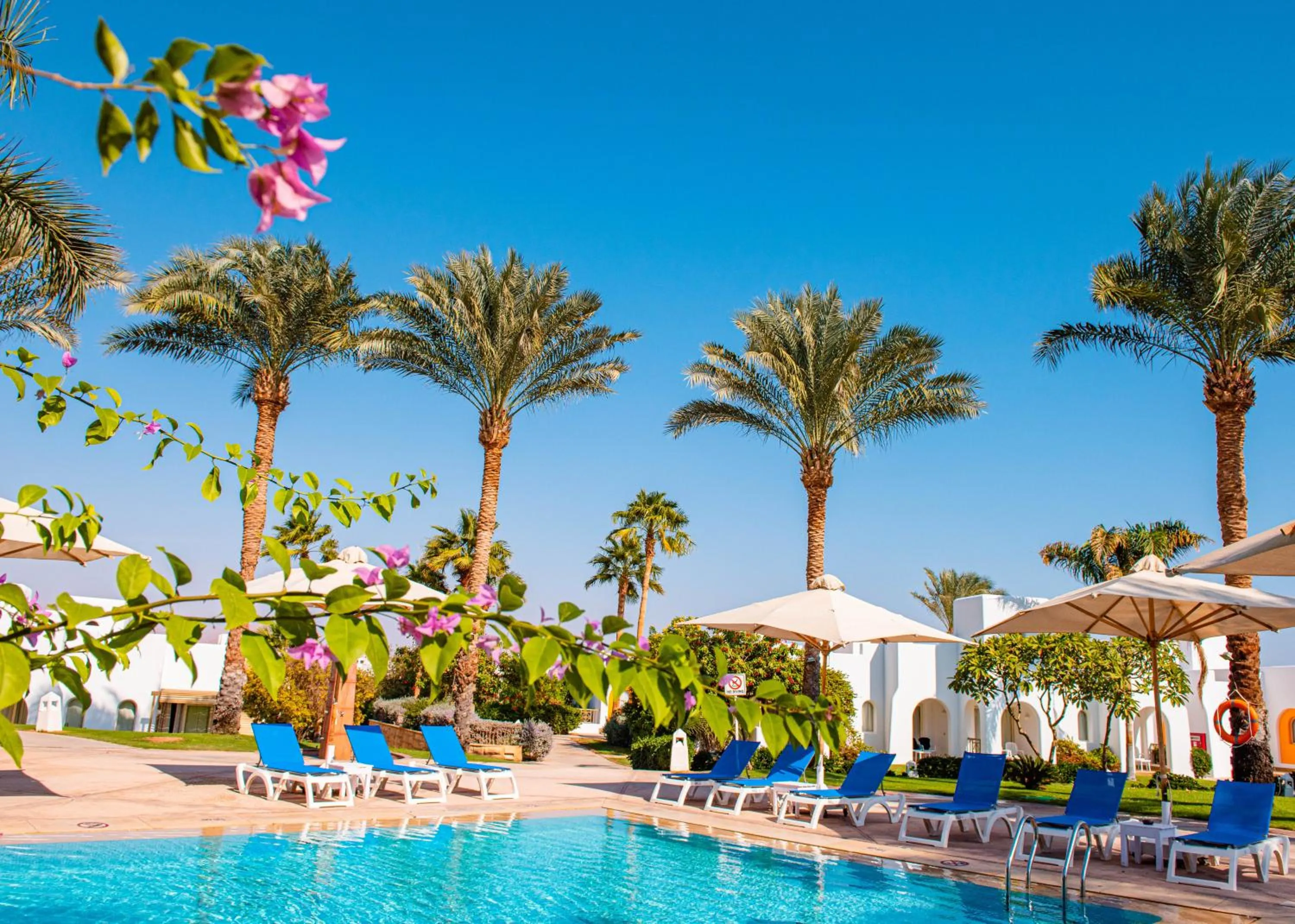 Swimming pool in Hotel Novotel Sharm El-Sheikh