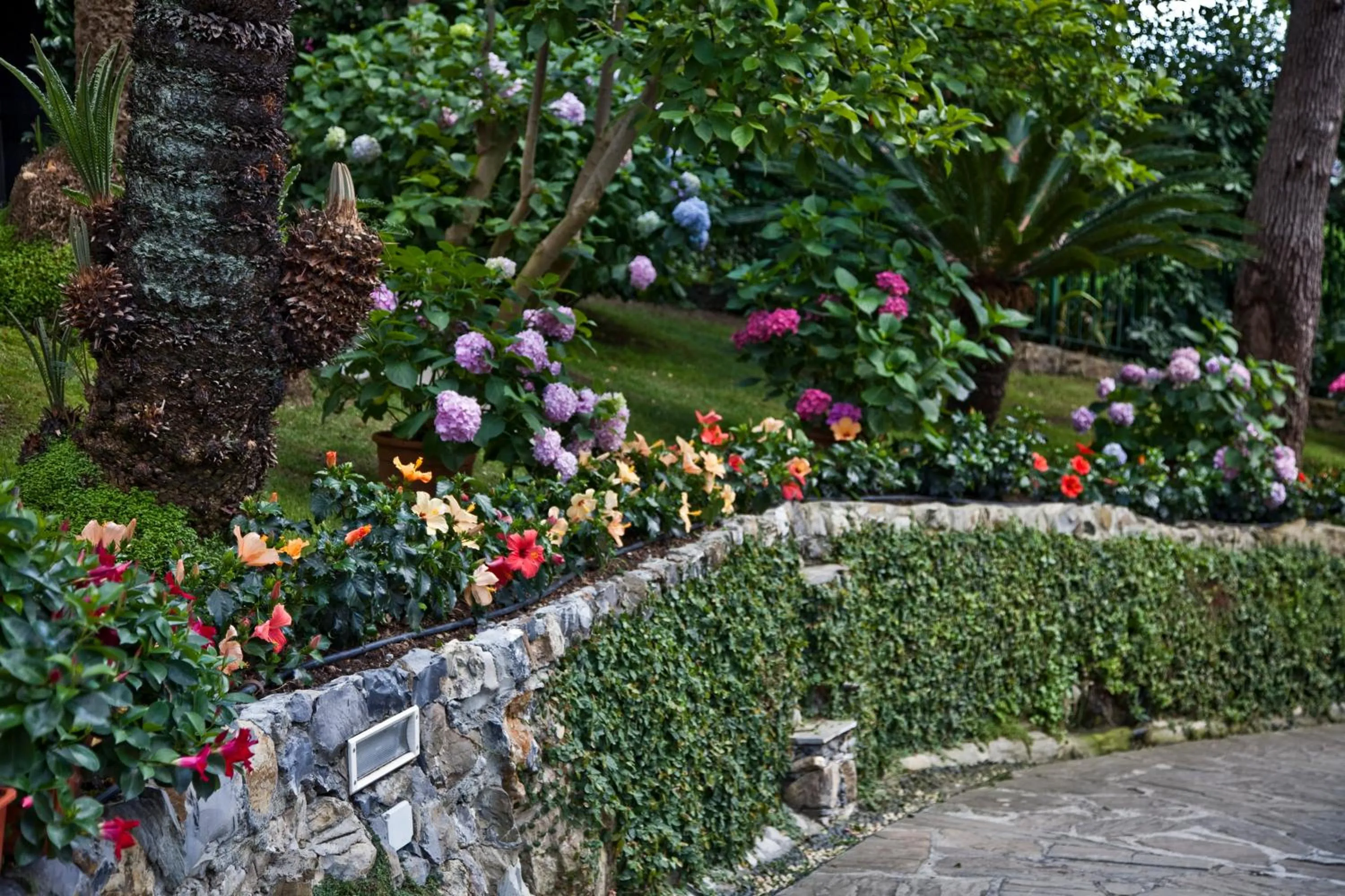Garden in Hotel Metropole