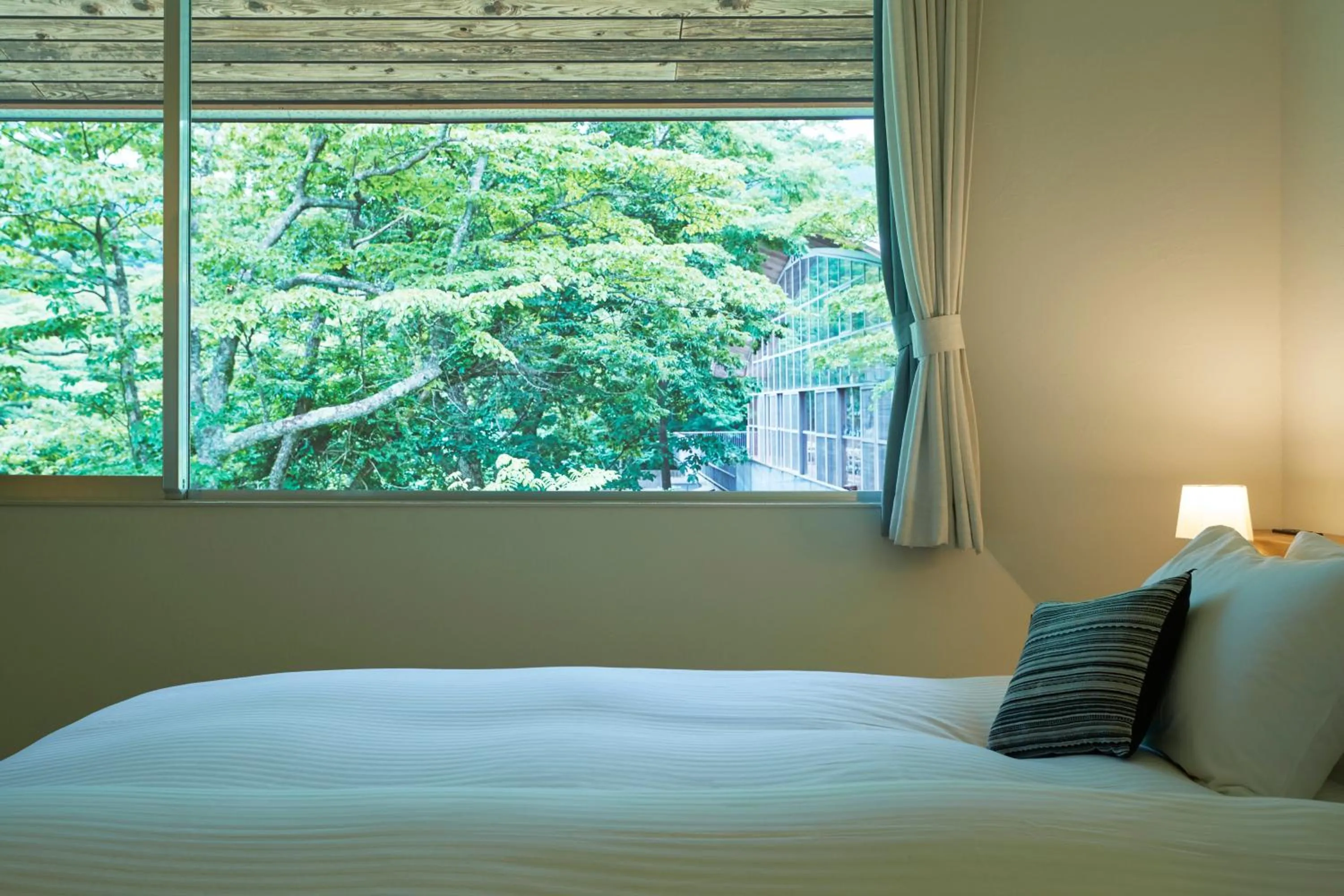 Adjoining Deluxe Double Room with Wood Stove (2 rooms)　 in Hakone Retreat Före