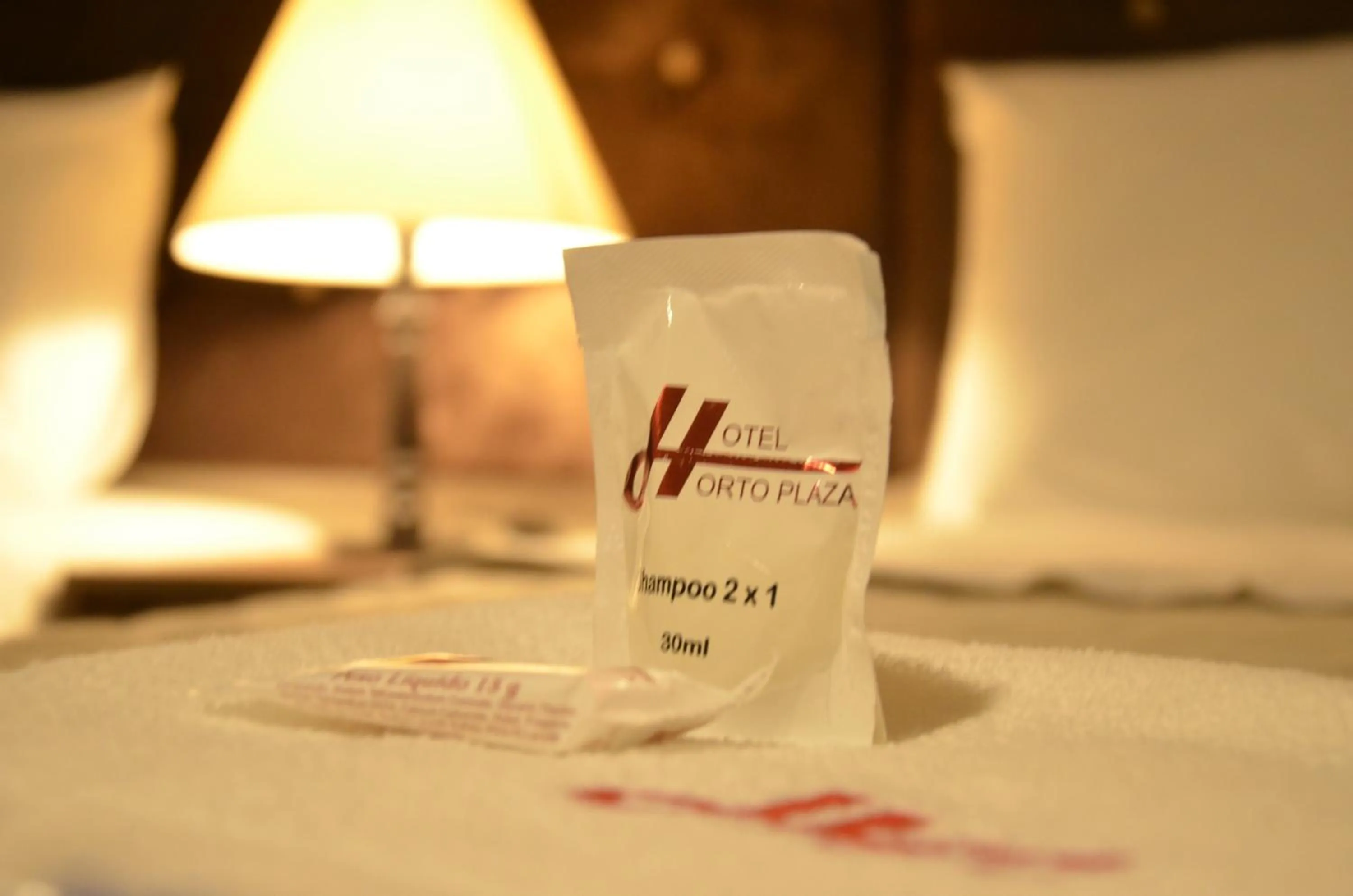 Single Room in Hotel Horto Plaza