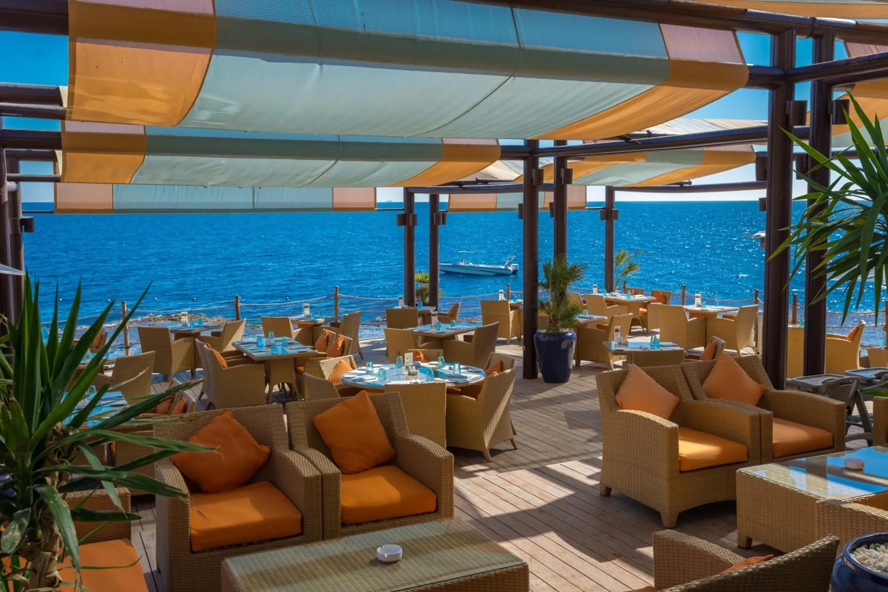 Restaurant/places to eat in Grand Rotana Resort & Spa Restaurant/places to eat in Grand Rotana Resort & Spa