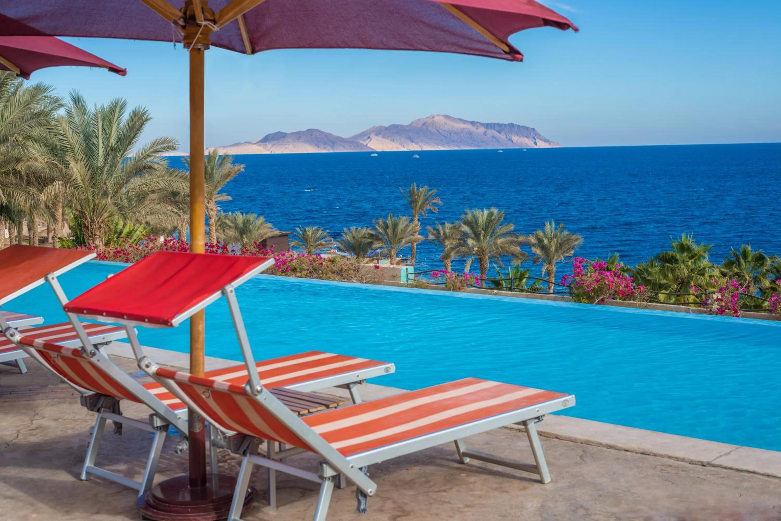 Pool view in Grand Rotana Resort & Spa