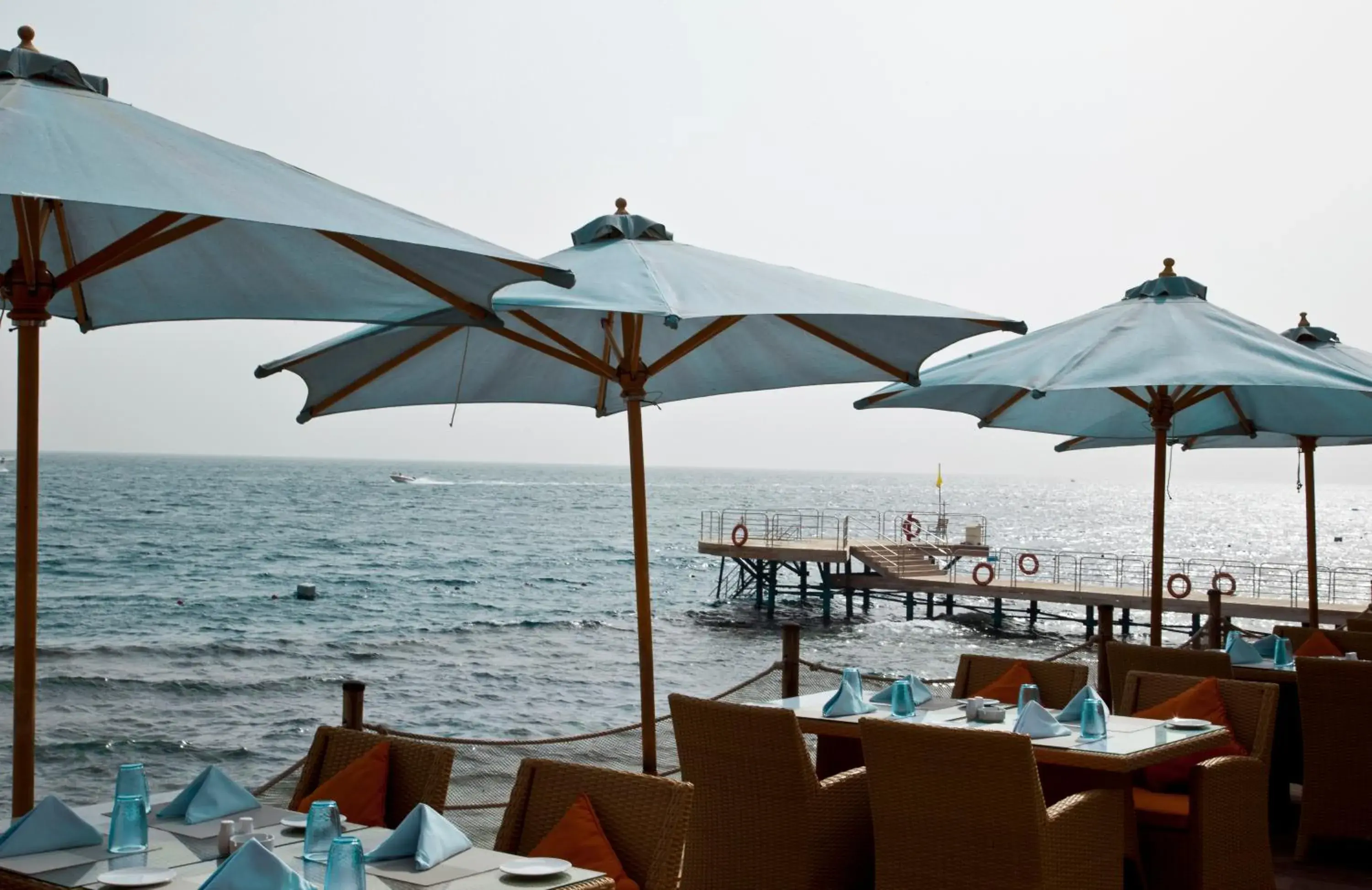 Restaurant/places to eat in Grand Rotana Resort & Spa Restaurant/places to eat in Grand Rotana Resort & Spa