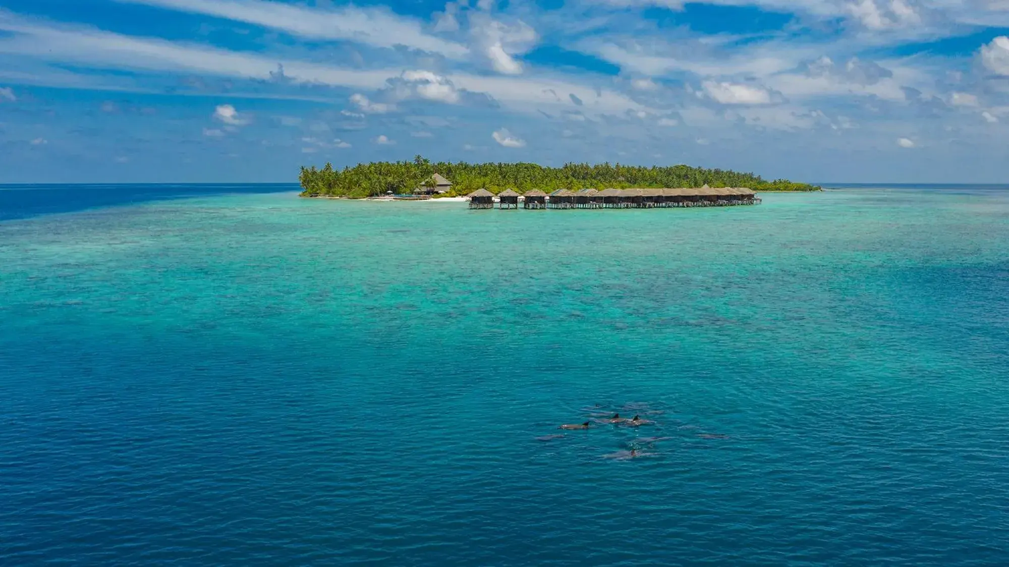 Bird's eye view in Filitheyo Island Resort Bird's eye view in Filitheyo Island Resort