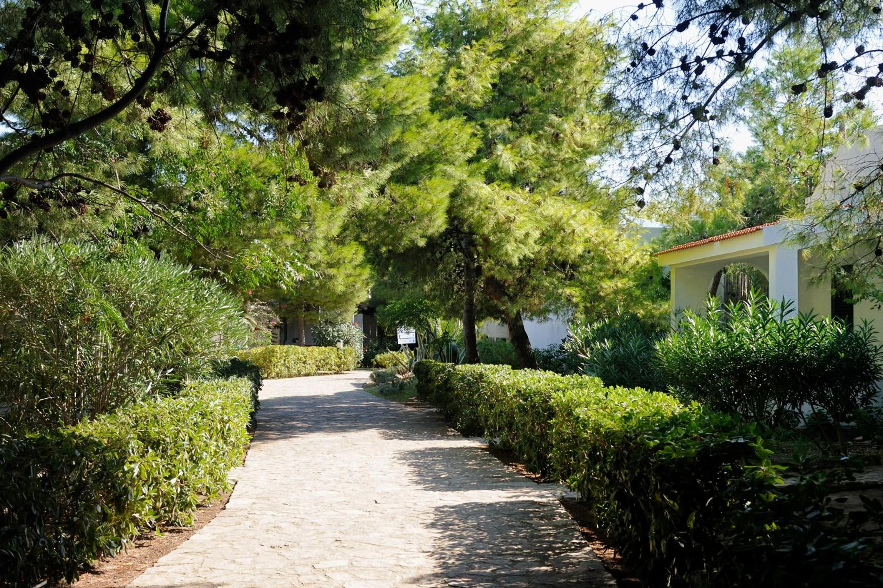 Area and facilities in Baia Degli Aranci Suite & Apartments