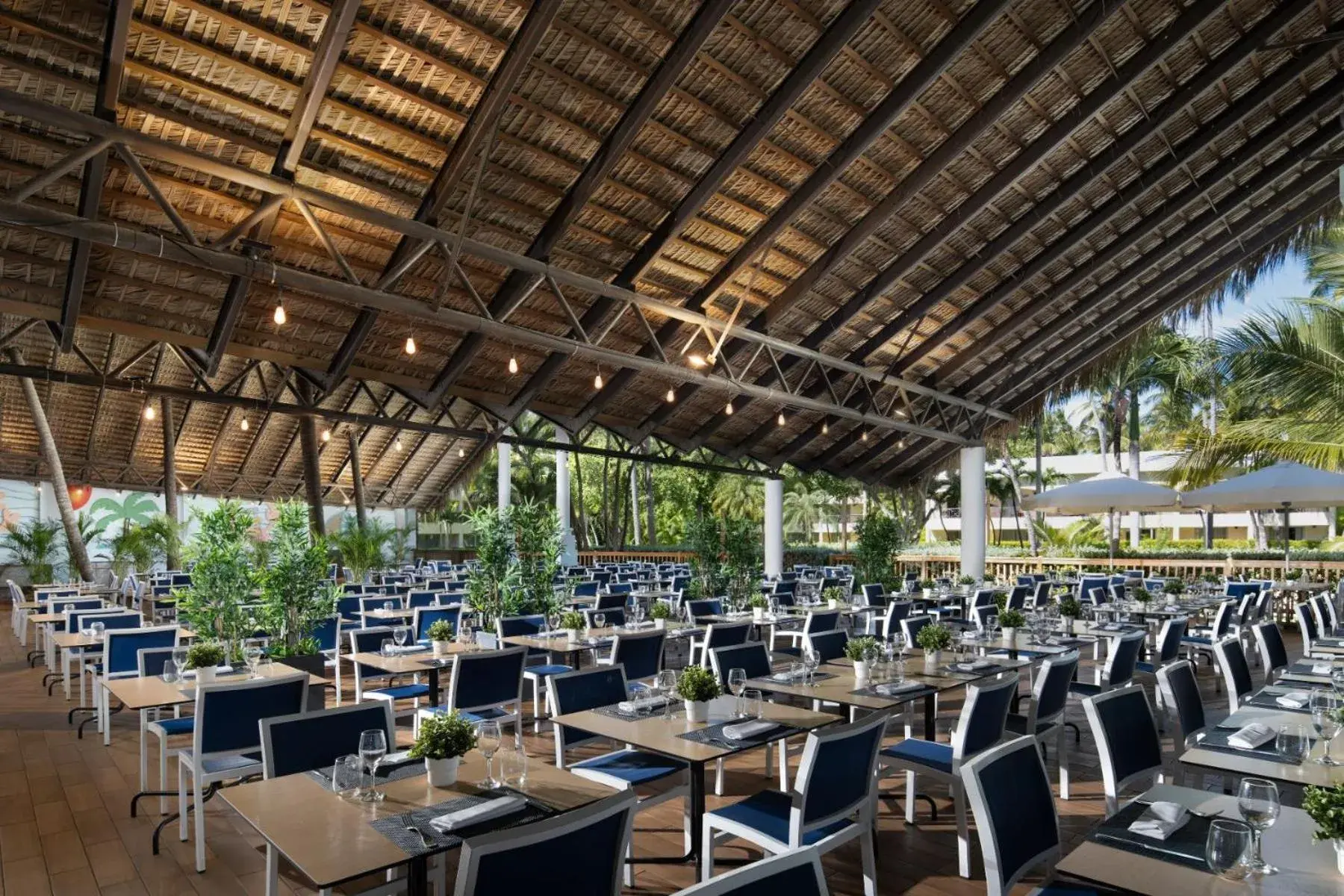 Restaurant/places to eat in Impressive Punta Cana - All Inclusive Restaurant/places to eat in Impressive Punta Cana - All Inclusive