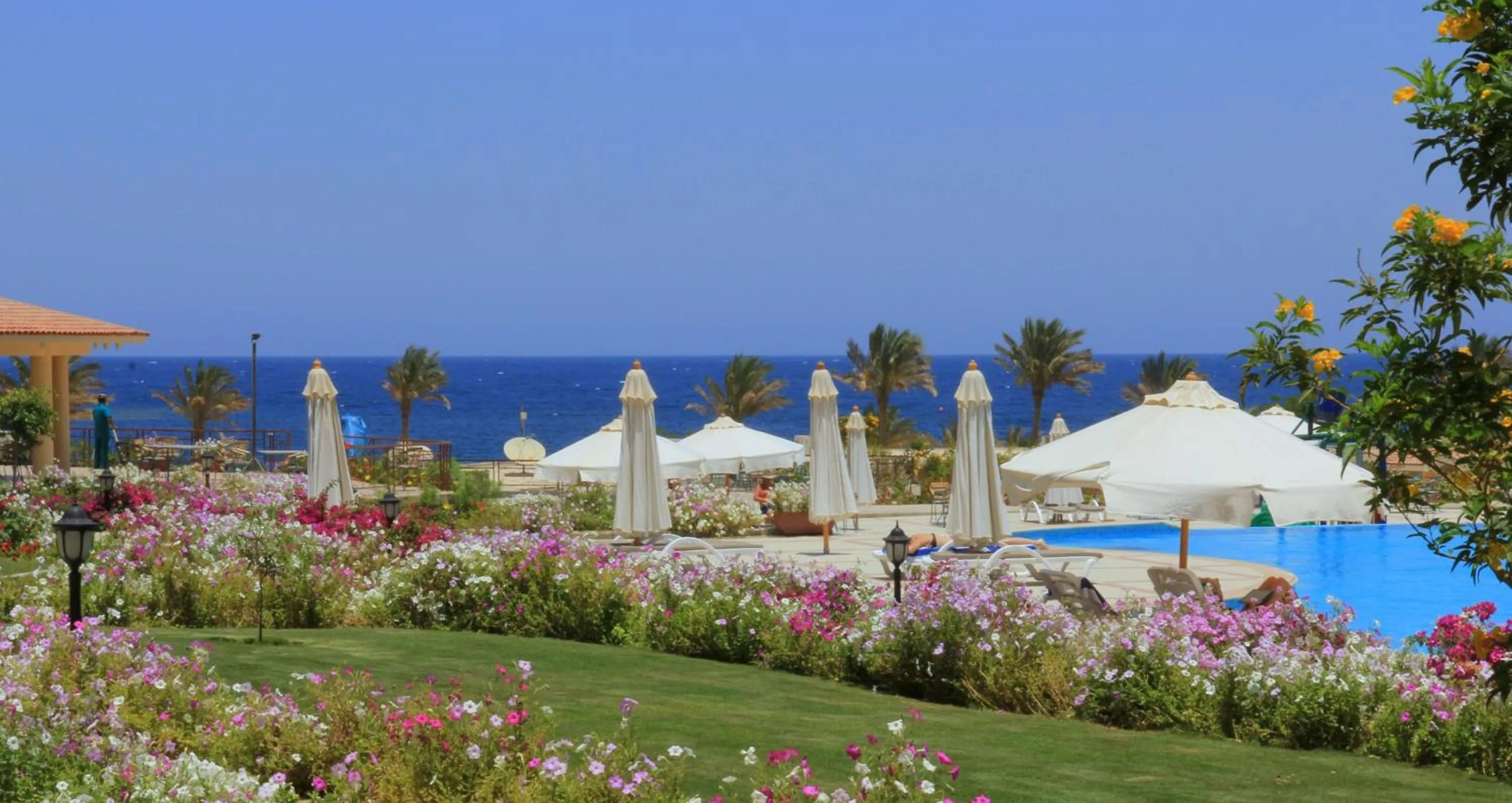 Garden in Royal Brayka Beach Resort