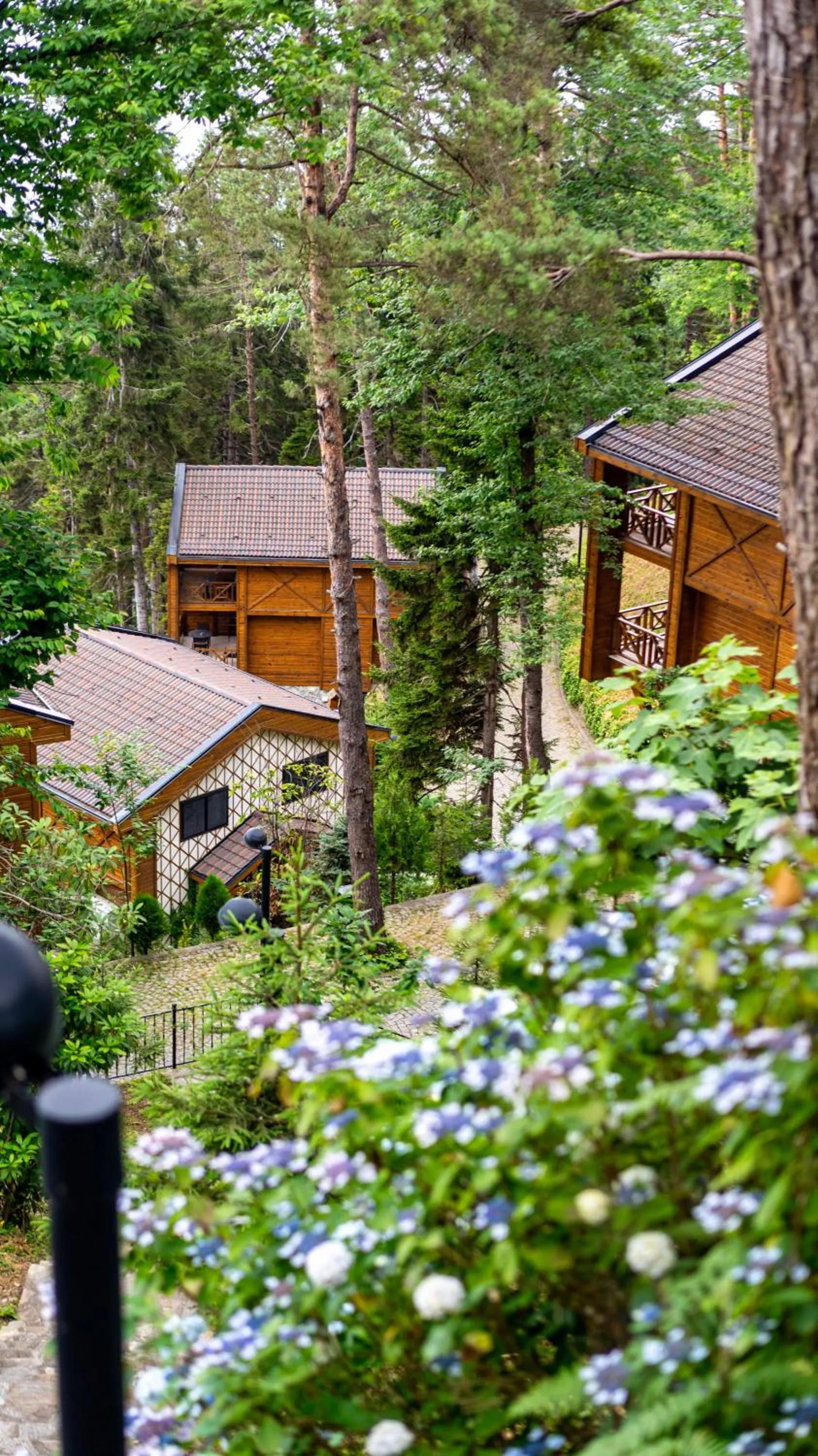 Natural landscape in Hancioglu Orman Evleri & Hotel