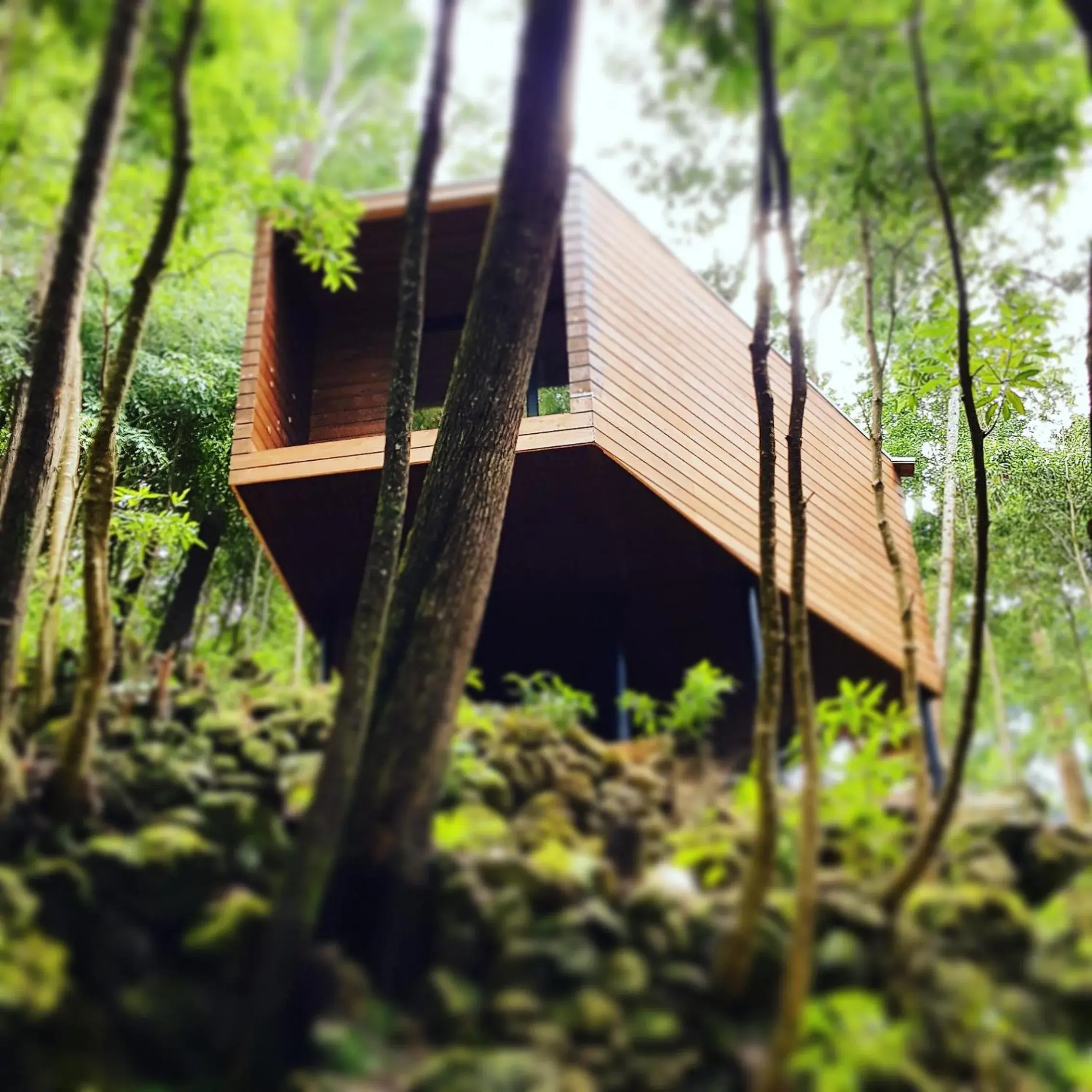 Caparica Azores Ecolodge Caparica Azores Ecolodge