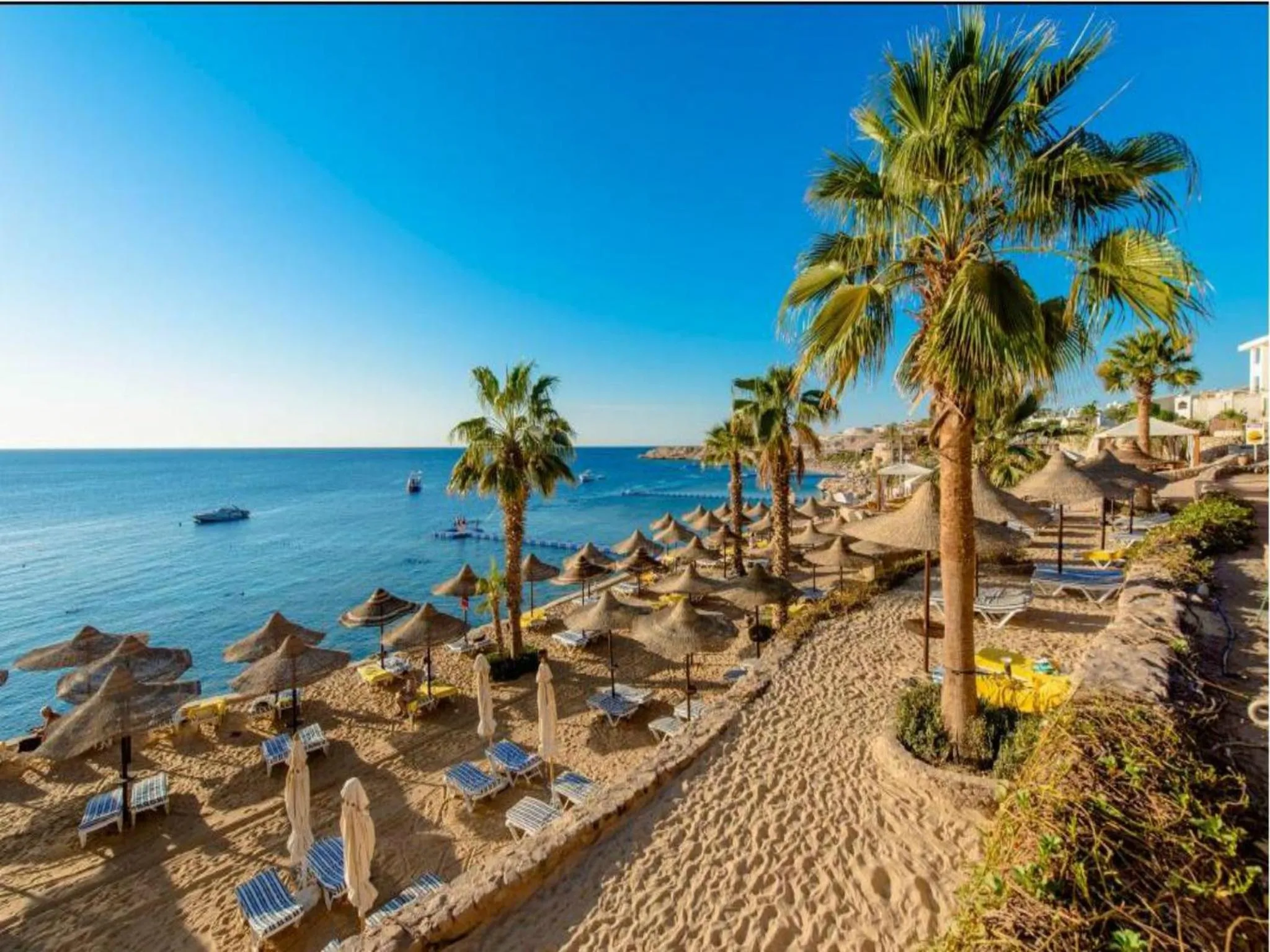 Area and facilities in Concorde El Salam Sharm El Sheikh Sport Hotel