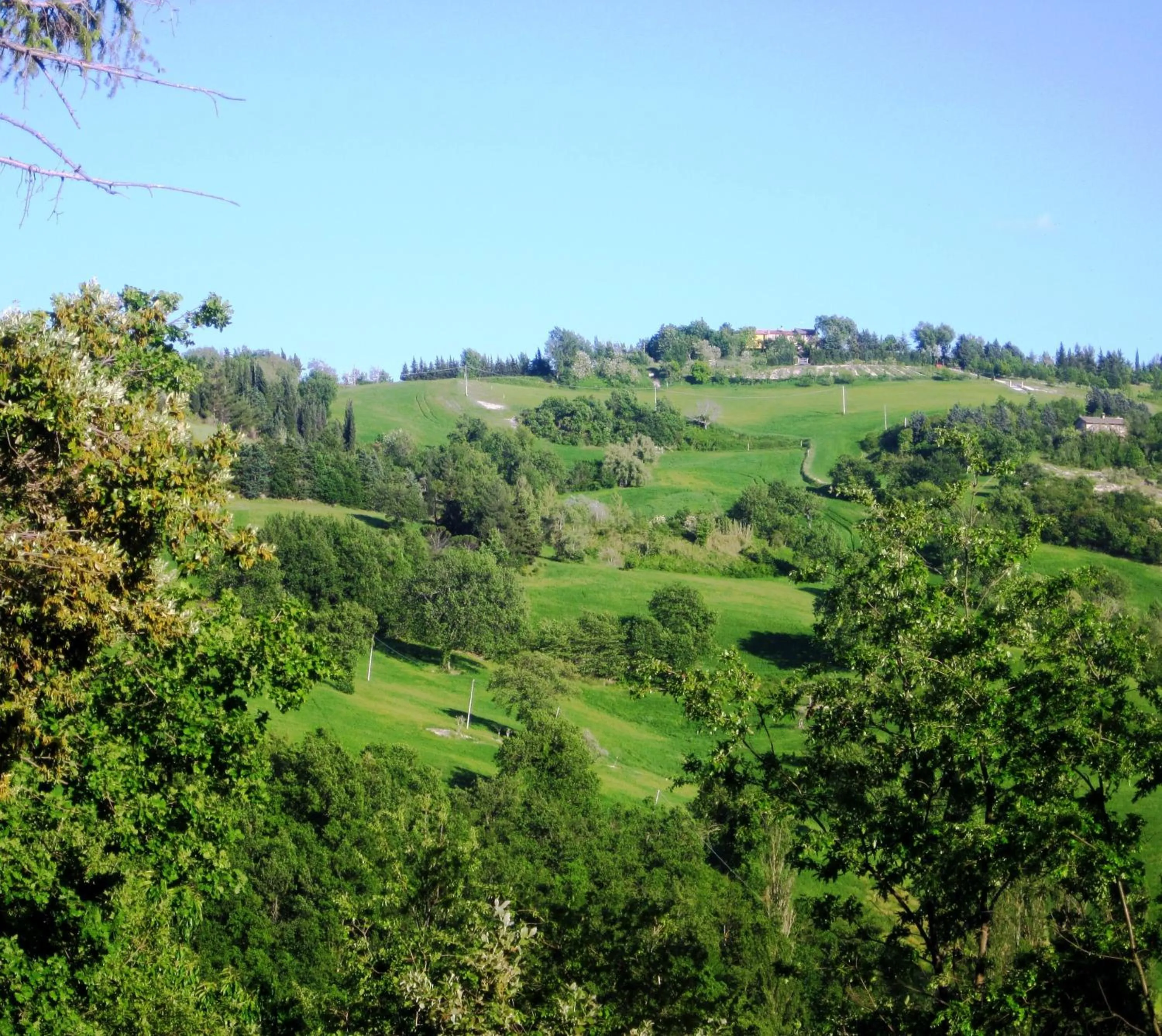 Area and facilities in Hotel La Meridiana