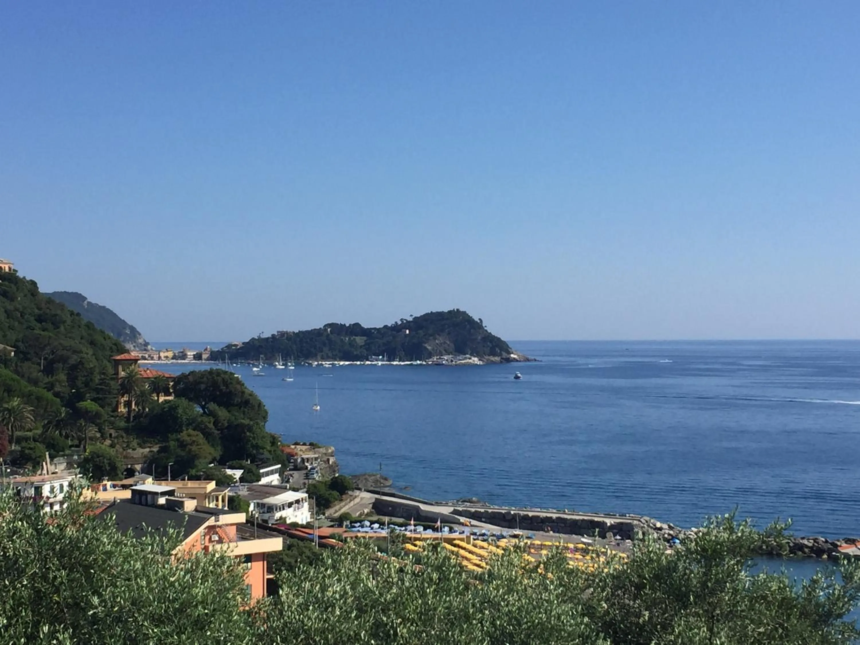 Natural landscape in Hotel Doria