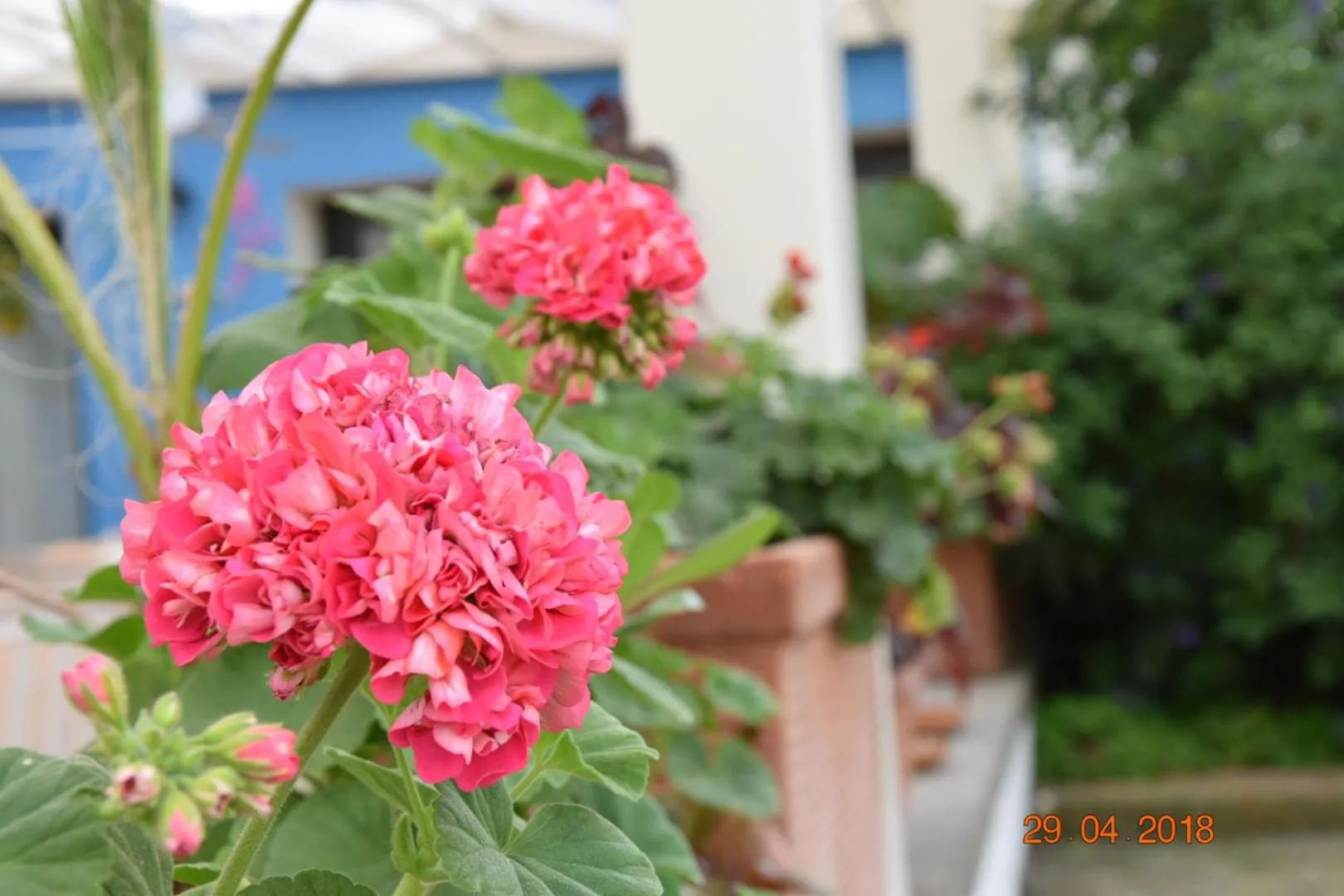 Marina Club Hotel