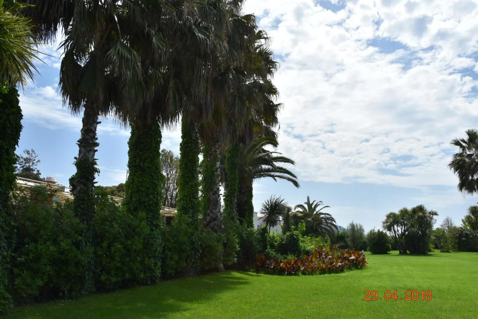 Marina Club Hotel