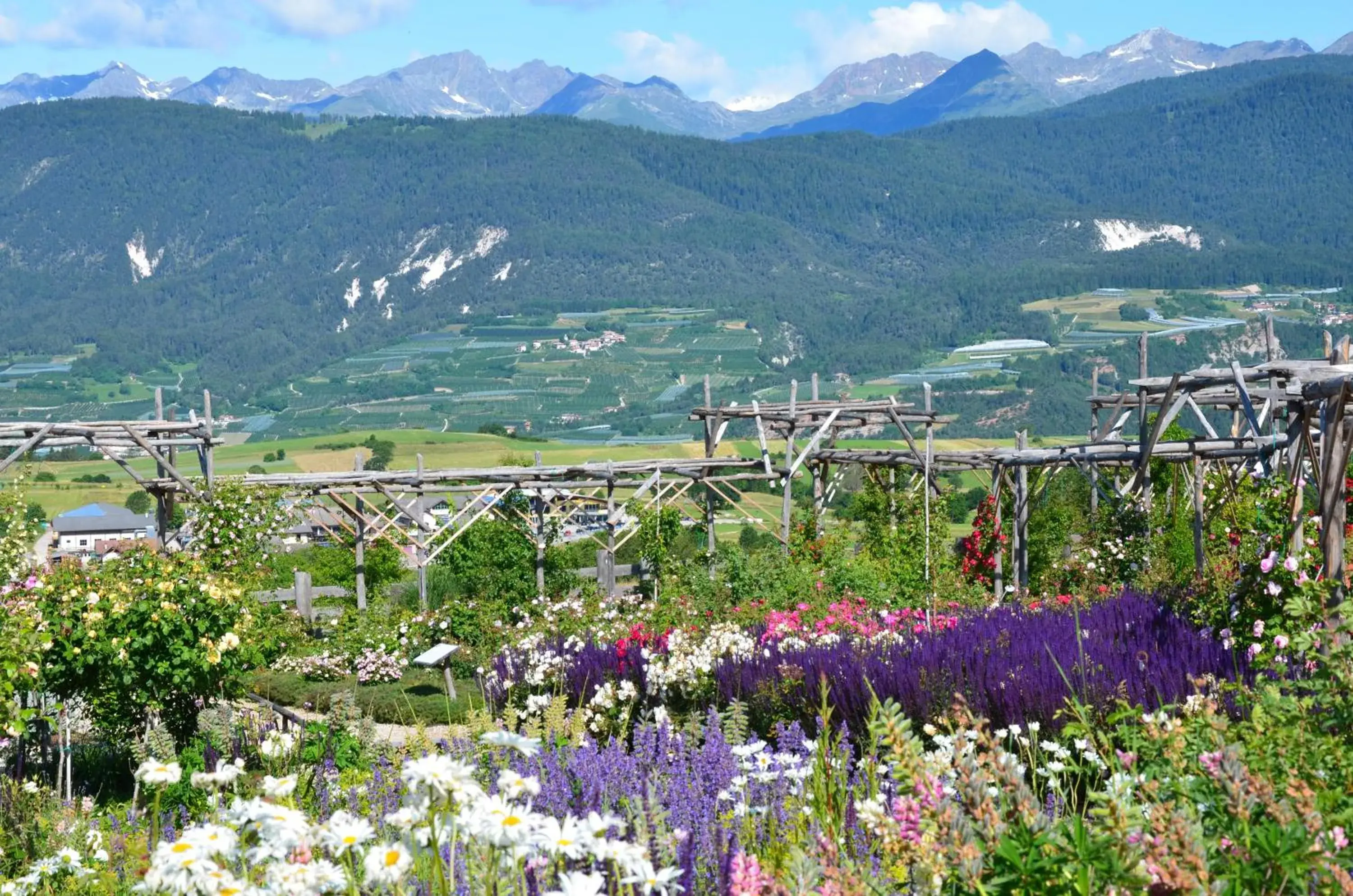 Wellness e Resort Stella Delle Alpi Wellness e Resort Stella Delle Alpi